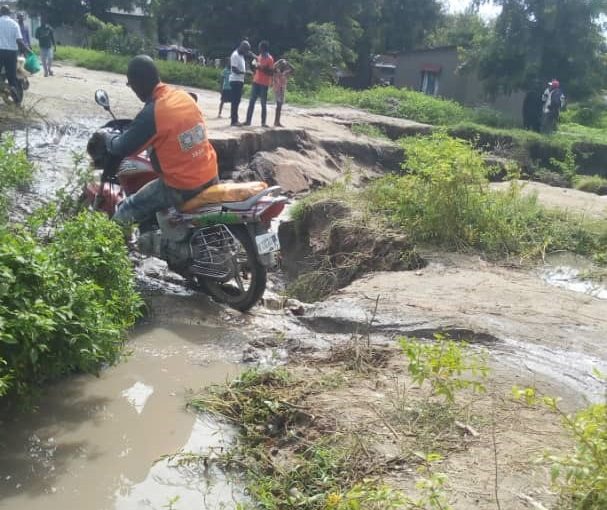 Bulletin  ONGEA-INTERNEWS-15.04.2019