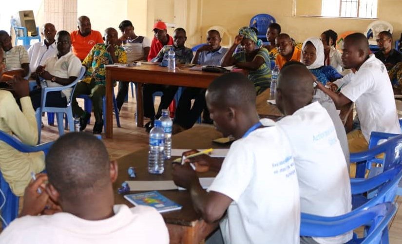 Bulletin  ONGEA-INTERNEWS-30.04.2019