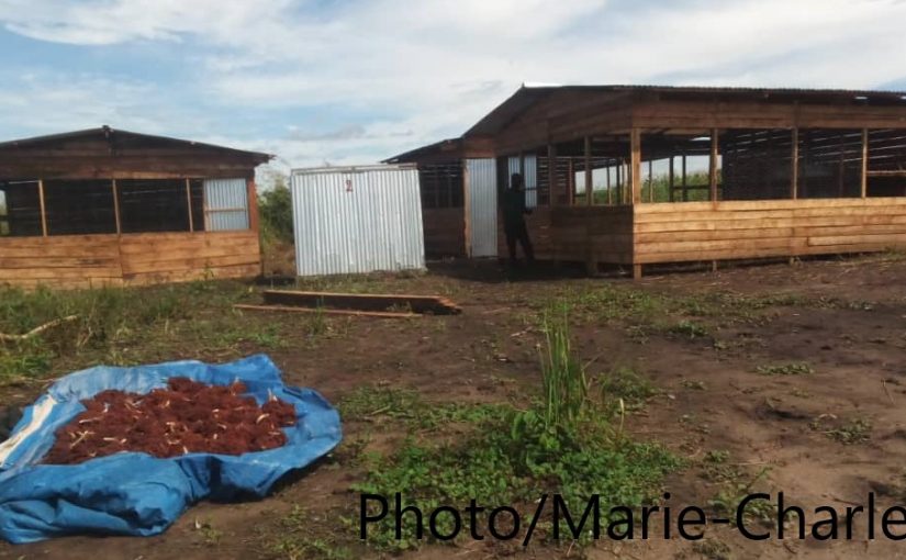 Baraka: L&rsquo;ONG ADRA poursuit ses activités d&rsquo;autonomisation de la femme réfugiée burundaise