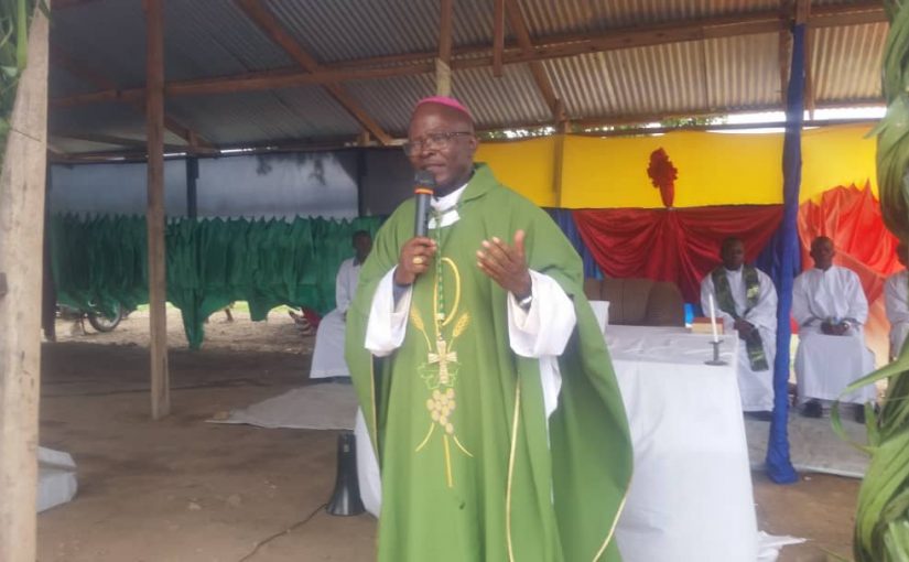 Bulletin  ONGEA-YAGA_HEBDO du 17/11/2019