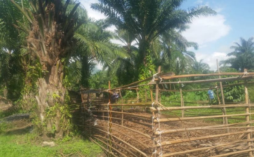 Bulletin ONGEA-YAGA_HEBDO du 23 février  2020