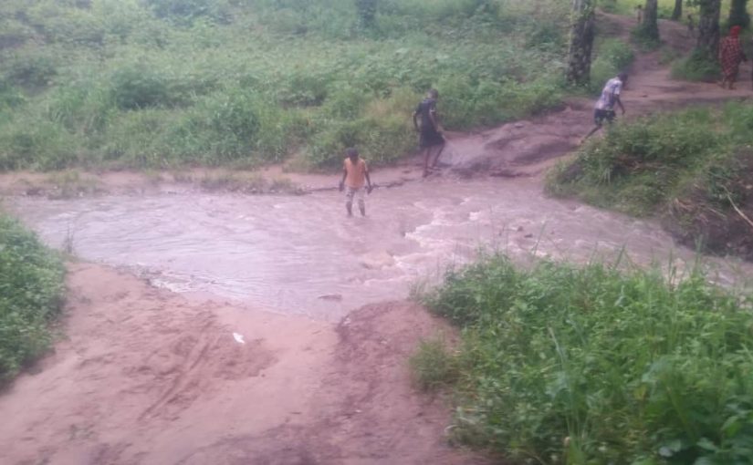 Bulletin ONGEA-YAGA du 11-02-2021 No 114/ Projet : P3RGL