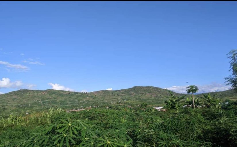 Bulletin d’informations Makala ONGEA-YAGA du 2-05-2024 Nº 13 /Projet : Promotion des DH, de la paix, la gouvernance locale, la protection de l’environnement et la lutte contre les VSBG au Sud Kivu sous financement d’Internews en RDC